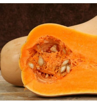 Calabaza Entera