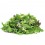 Ensalada Mezclum Petit Plà 250g