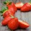 Fresas de Maresme 500g