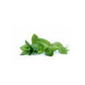 Menta 40g