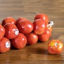 Tomate Colgar Serrallets de l´Horta