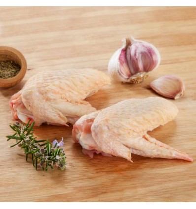 Alas de Pollo
