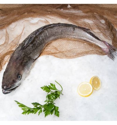 Merluza de Arrastre Macada para Horno