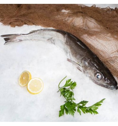 Merluza de Palangre Marcada para Horno