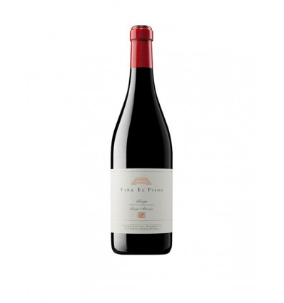 Artadi Viña El Pison Magnum