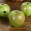 Manzana Granny Smith (4-5 uds)