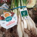 Pack Calçots (25u) + Salsa