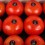 Tomate Ensalada Umamium