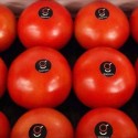 Tomate Ensalada Umami