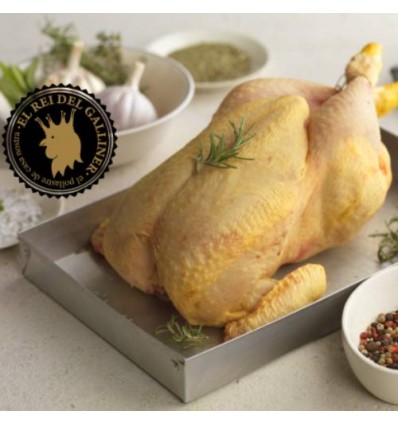 Pollo El Rei del Galliner