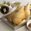 Pollo El Rei del Galliner