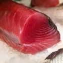 Tonyina Extra Tall 500g