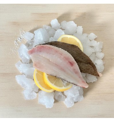 Rodaballo de Cultivo Rodaballo de Cultivo