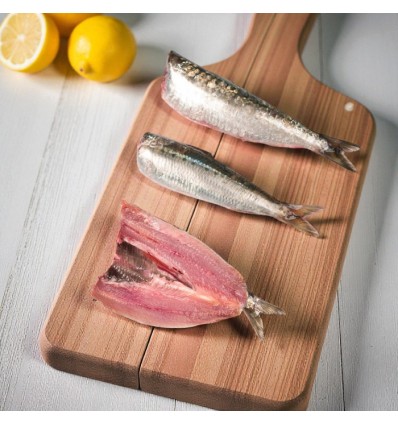 Sardinas Mediterráneo